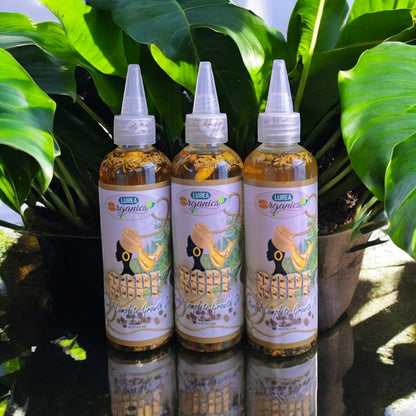 The Rope Herbal Complete Growth Oil (6Pack) 4 Small Butters 2 FREE BIG SPRAYS 1 Big Shampoo Set